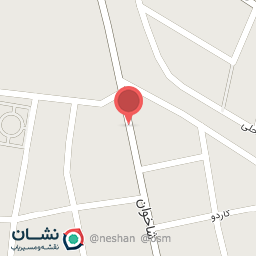 عکس تعویض روغنی حسن پور