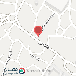 عکس کیف و کفش مجید