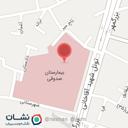 عکس دکتر نعیمه حق شناس