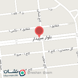 عکس خدمات الکترونیک انتظامی پلیس +10