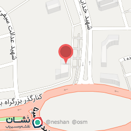 عکس پیتزا امیر