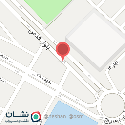 عکس مرغ آبهان 