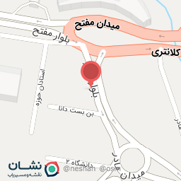 عکس ساندویچی و مرغ بریان 