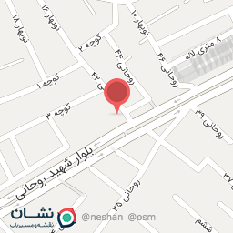 عکس هیئت رایحة المهدی عج الله