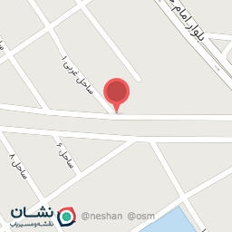 عکس اتو سرویس برادران عباسپور