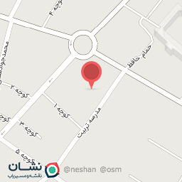 عکس کیف و چمدان تماشا