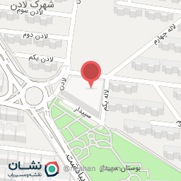 عکس گوشت و مرغ بغدادی