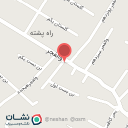 عکس پیتزا ونیز