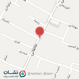 عکس فروشگاه موسیقی ققنوس