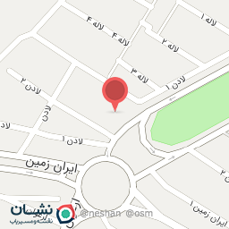 عکس ساندویچ و پیتزا تپل ایرانی