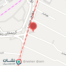 عکس پیتزا تسچه