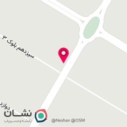 عکس غذا خانگی حاج خانم