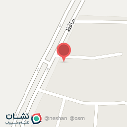 عکس اتو سرویس میثم