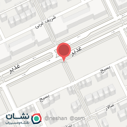 عکس پیتزا دایان