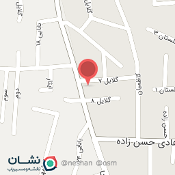 عکس کیف و کفش کلاسیک 