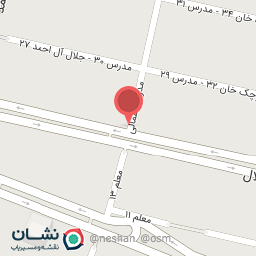 عکس مرغ بریان و کباب ترکی روژان