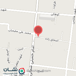 عکس آوای پرواز زرین شهر 