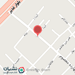 عکس فست فود ژینوس 