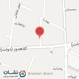 عکس دکتر خدیجه دانشجو