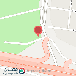 عکس کارواش دوستاره النا