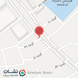 عکس تزئینات تک