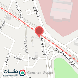 عکس فلاویچ فلافل