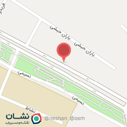 عکس جلوبندی و کمک فنرسازی محمد