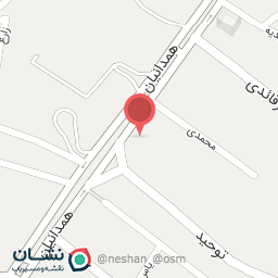 عکس مرغ و ماهی سادات