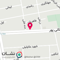 عکس پخش مرغ وحید