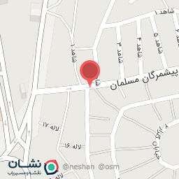 عکس تنظیم موتور و سی ان جی میکائیل