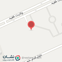 عکس کفش موسوی