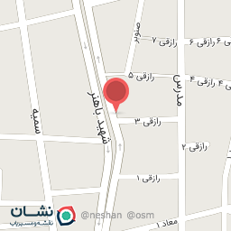 عکس پیتزا تنوری تورینو 