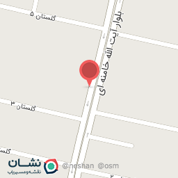 عکس پخش مرغ و گوشت سید حسینی