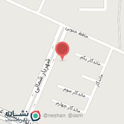 عکس برنج حبوبات و زیتون امیر علی