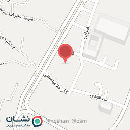 عکس هیئت انصار حیدری