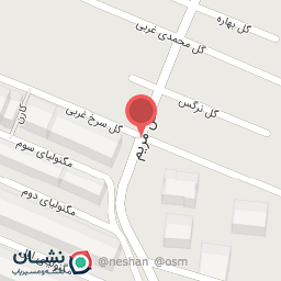 عکس تعمیرات لوازم خانگی محمودی