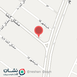 عکس فلافل طلایی