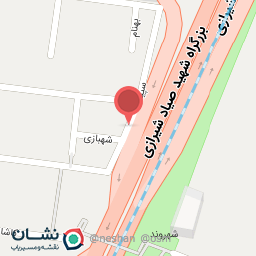 عکس پیتزا دنج