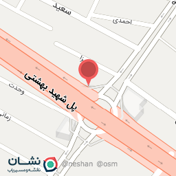 عکس پیتزا پانیذ