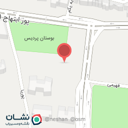 عکس غذای ایتالیایی پدینو