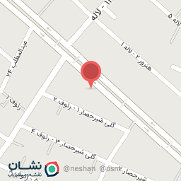 عکس کفش میسنا 