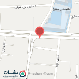 عکس خشکشویی نیلوفر