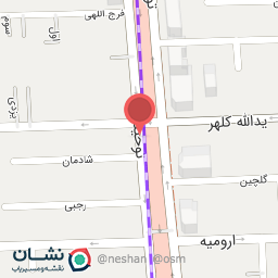 عکس شیرینی نرگس