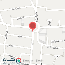 عکس کفش ملی