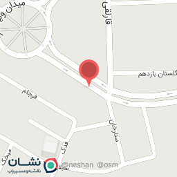 عکس تاکسی سرویس بانوان نخل زرین