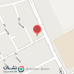 عکس کیف و کفش دی تو دی