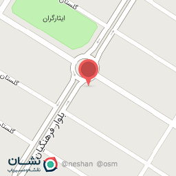 عکس شوینده بهداشتی امیر 