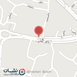 عکس مدیران خودرو سقز