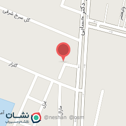 عکس نان فانتزی پارمیس