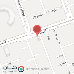 عکس بدلیجات روژان 